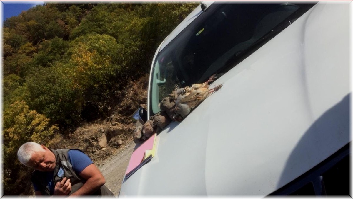 Tunceli'de kaçak avlanan 9 kişiye ceza kesildi, 14 ölü keklik ele geçirildi