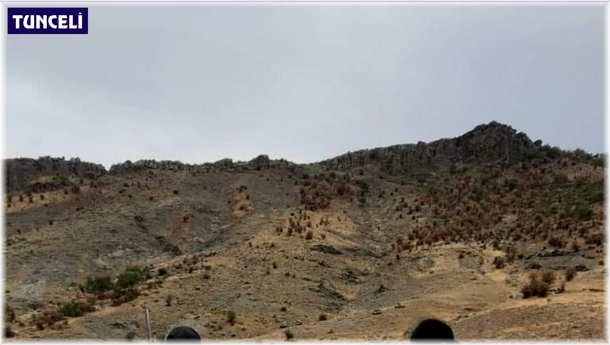 Tunceli'de kanuna aykırı davranan 2 kişi hakkında işlem yapıldı