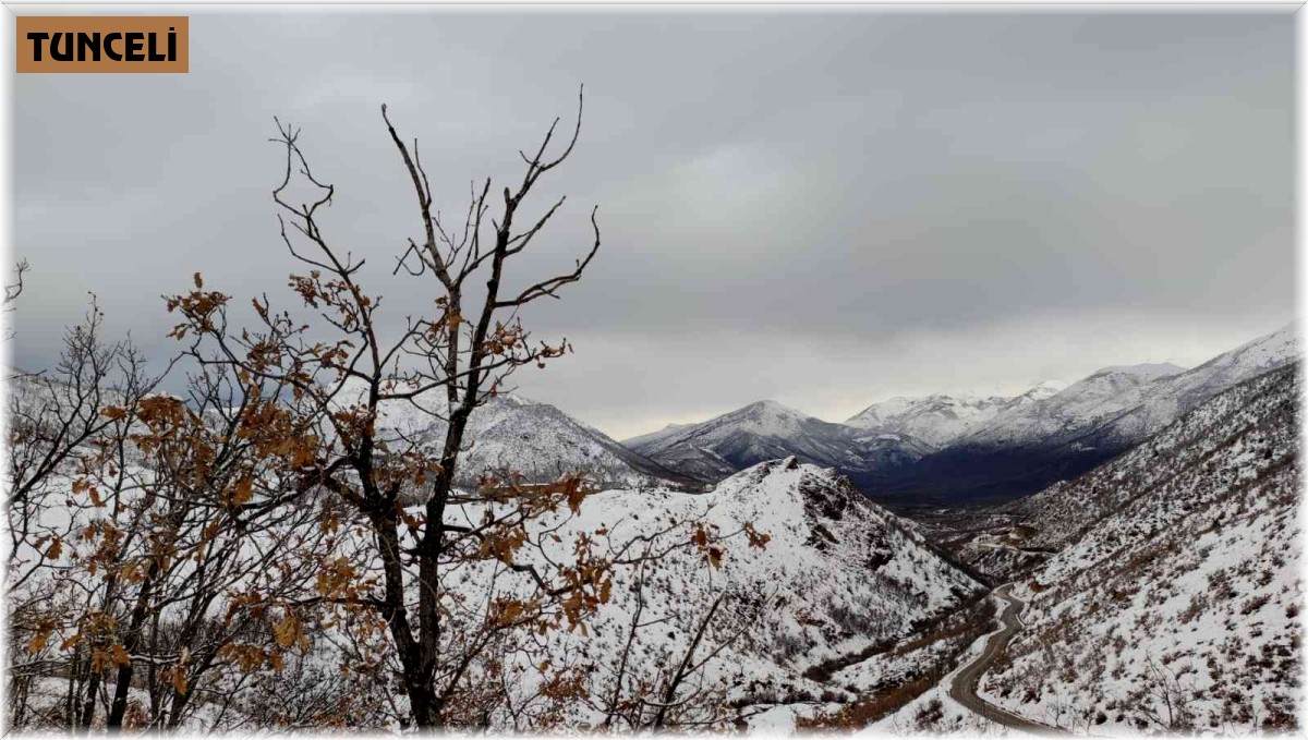 Tunceli'de kapalı bulunan 41 köy yolunun ulaşıma açılma çalışmaları sürüyor