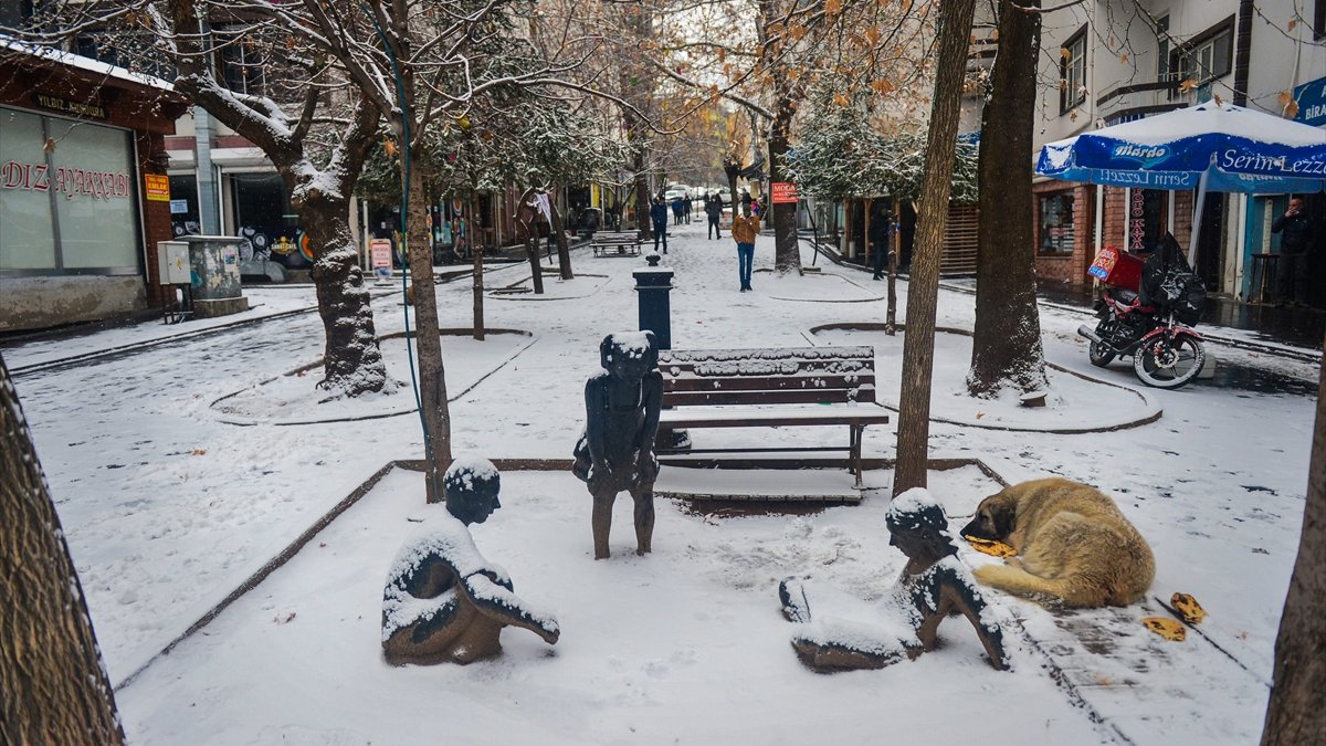 Tunceli'de kar nedeniyle engelli ve hamile kamu personeli idari izinli sayılacak