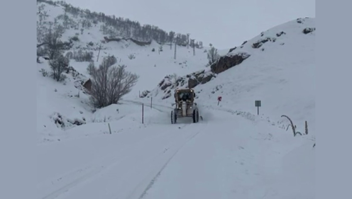 Tunceli'de kar yağışı 82 köy yolunu ulaşıma kapattı