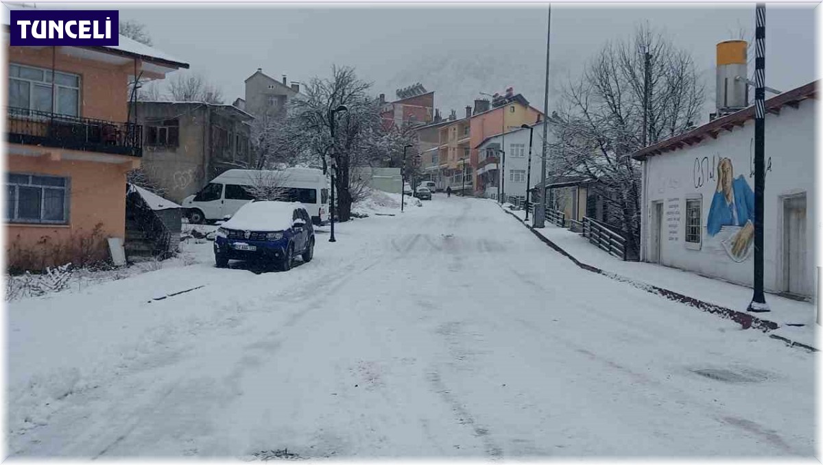 Tunceli'de kar yağışı etkili oldu, onlarca köy yolu ulaşıma kapandı