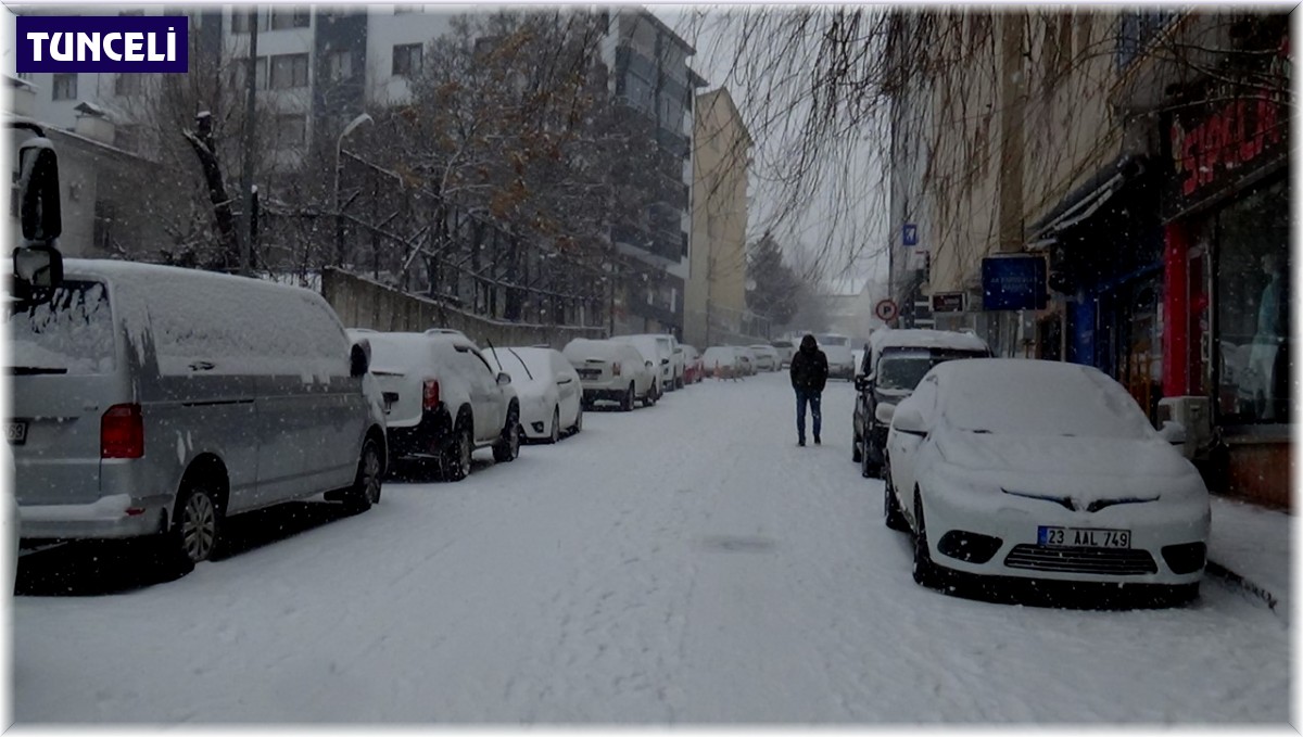 Tunceli'de kar yeniden bastırdı, 251 köy yolu ulaşıma kapandı
