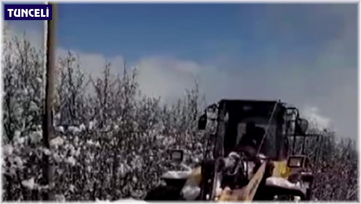 Tunceli'de kardan kapanan köy yolları ulaşıma açılıyor