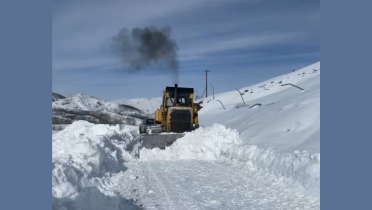 Tunceli'de kardan kapanan köy yolunu açmak için çalışmalar sürüyor