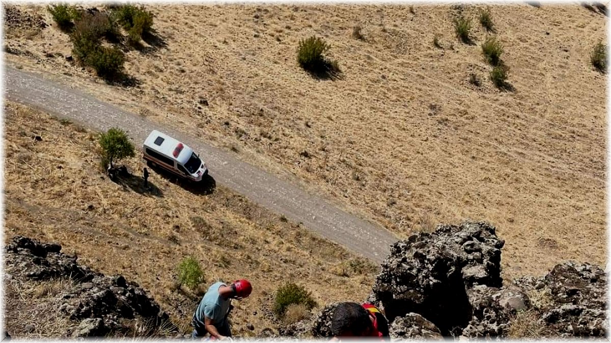 Tunceli'de kayalıklarda 3 gündür mahsur kalan hayvanlar kurtarıldı