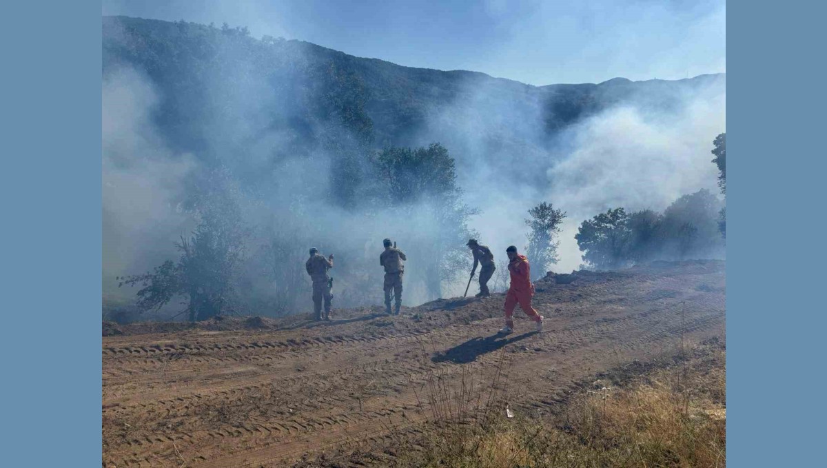Tunceli'de kırsal alanda çıkan yangın söndürüldü: Soğutma çalışmaları sürüyor