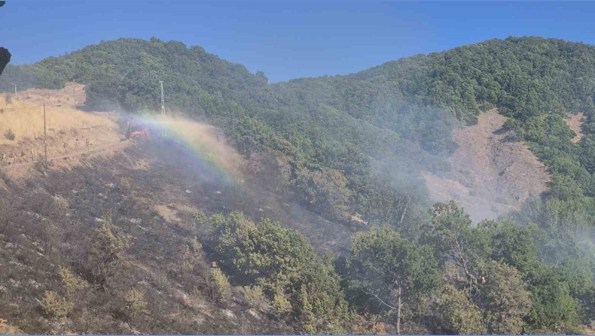 Tunceli'de kırsal alanda yangın: Havadan ve karadan müdahale sürüyor