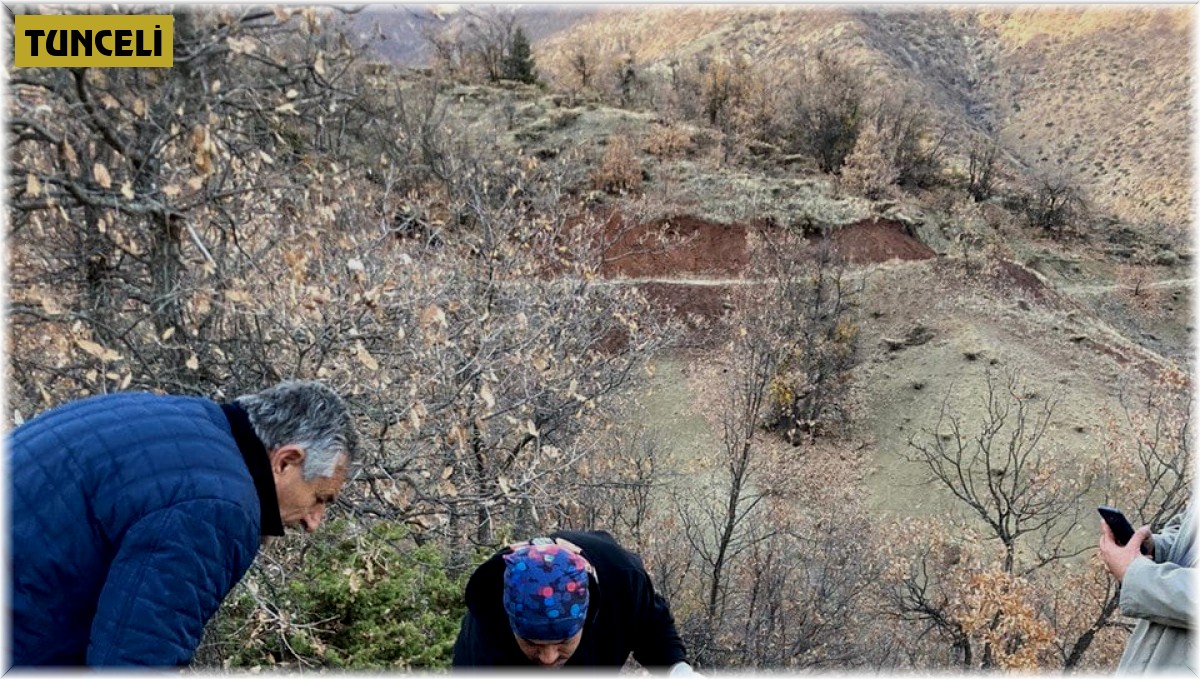 Tunceli'de köpeklerin saldırısına uğrayan yaban keçisi, tedavisi yapılarak doğaya bırakıldı