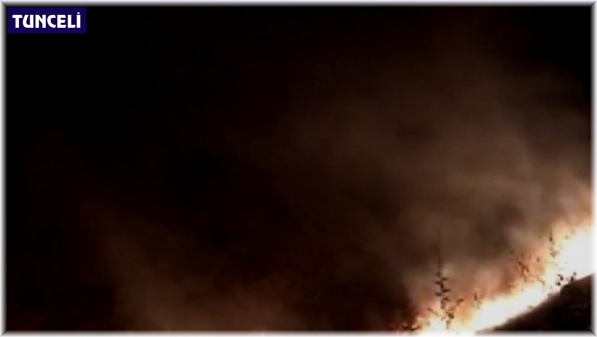 Tunceli'de korkutan yangın