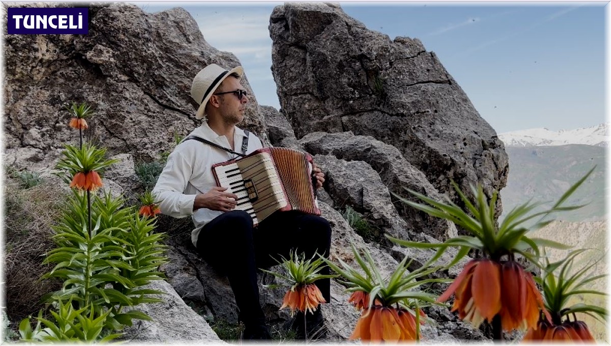 Tunceli'de koruma altındaki ters laleler çiçek açtı
