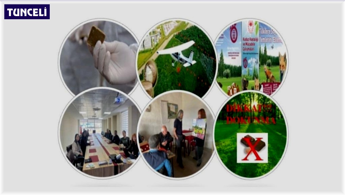 Tunceli'de kuduz ile mücadele çalışmaları