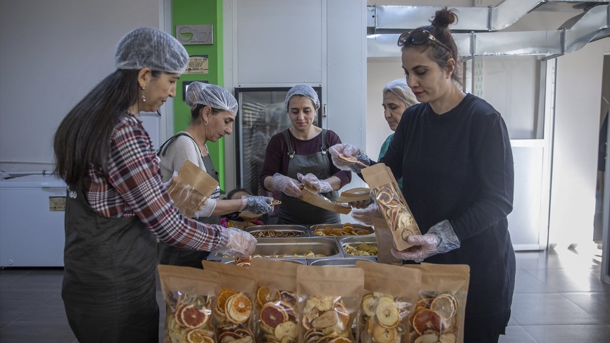 Tunceli'de kurulan meyve sebze kurutma tesisi dar gelirli kadınlara iş kapısı oldu