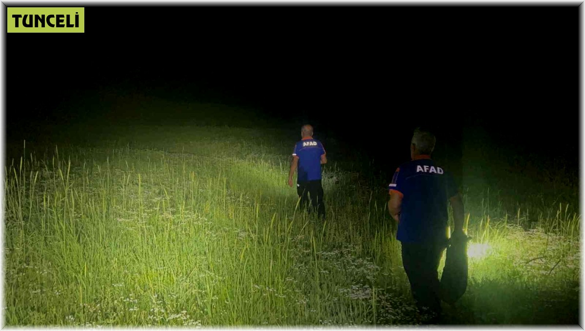 Tunceli'de mantar toplarken kayalıklardan düşen şahıs, 3,5 saatlik çalışmayla kurtarıldı