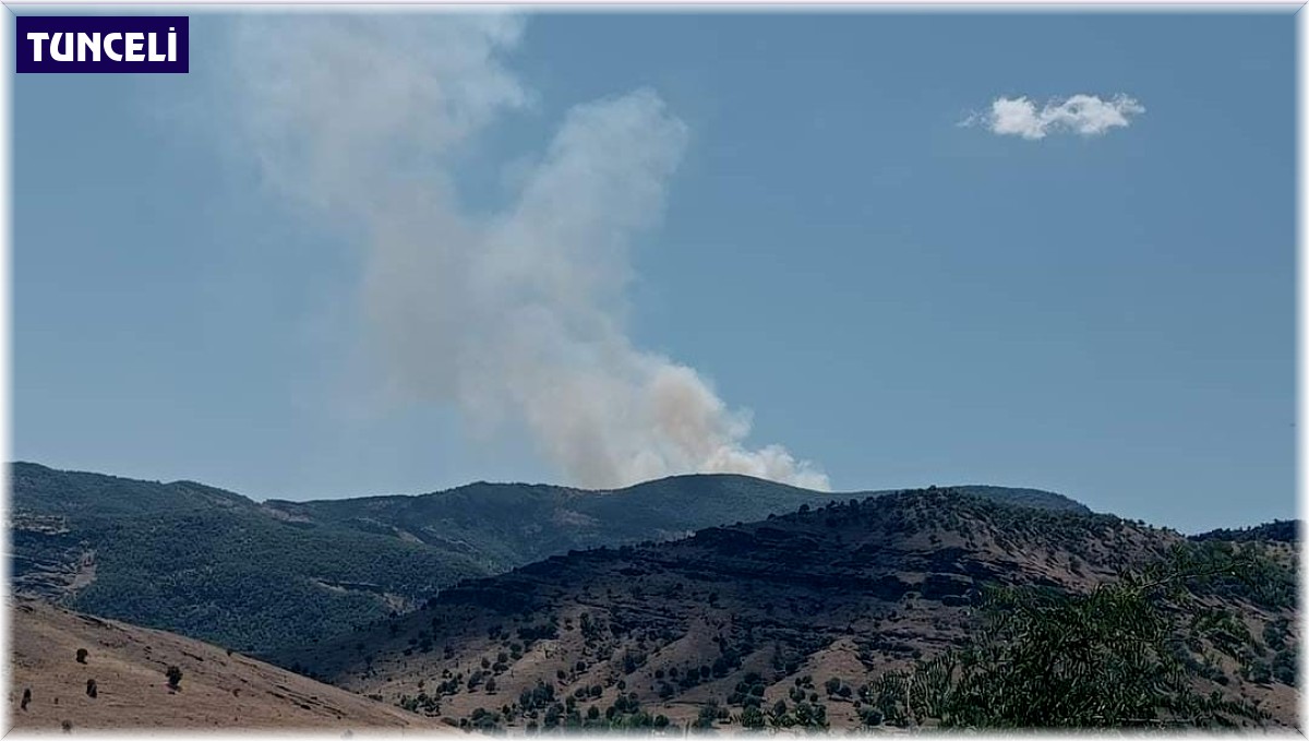 Tunceli'de orman yangını