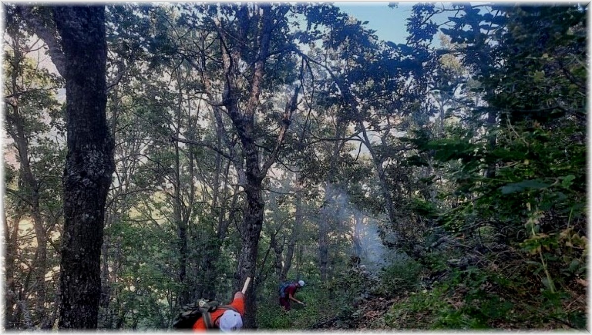 Tunceli'de orman yangını büyümeden söndürüldü