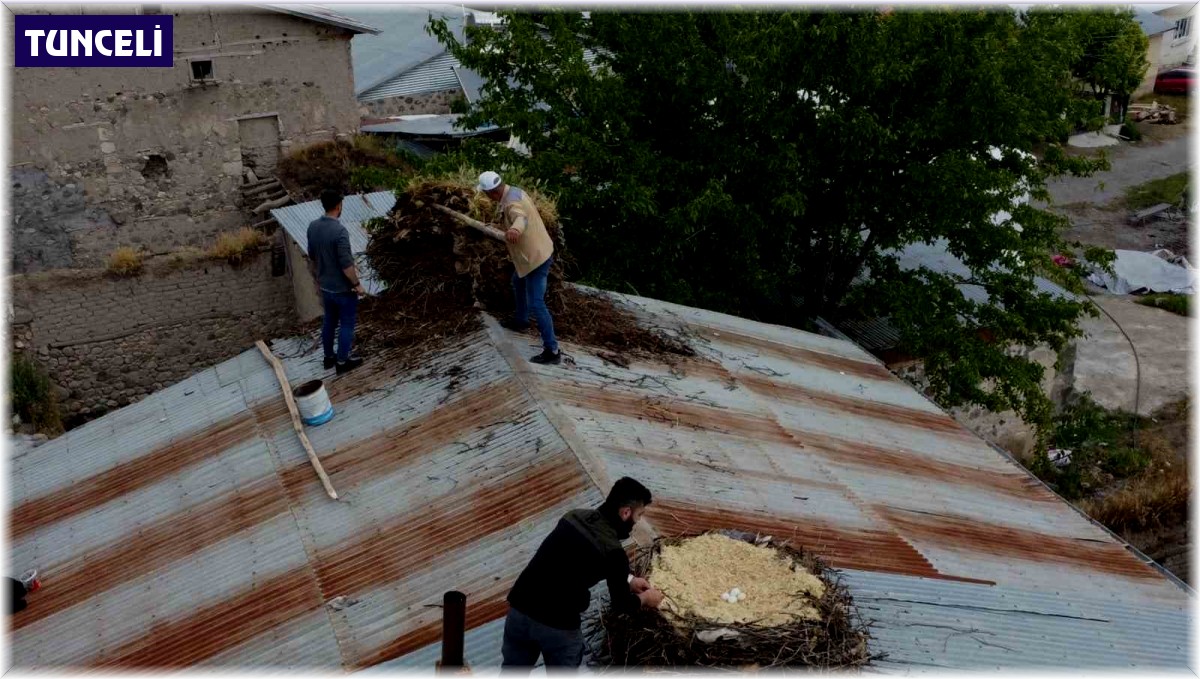 Tunceli'de örnek davranış: Hasarlı binaların çatılarındaki leylek yuvaları güvenli yere taşındı