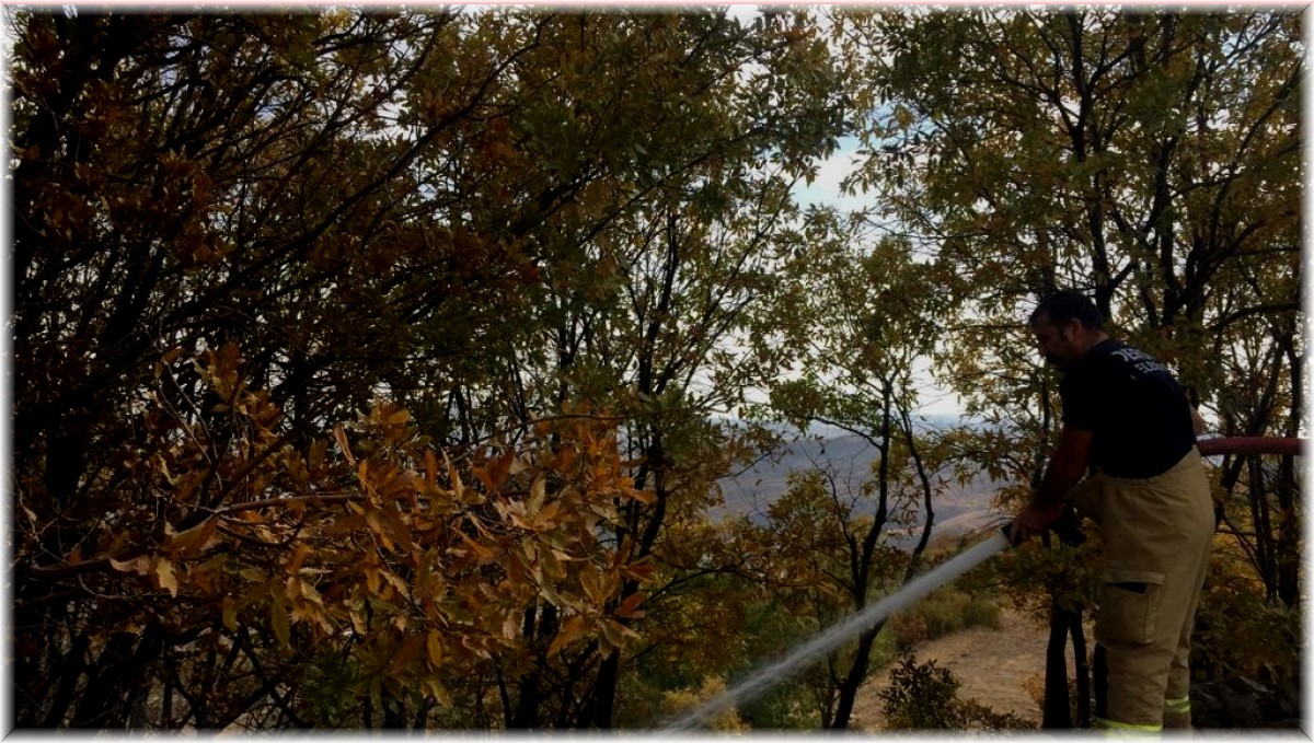 Tunceli'de örtü yangını büyümeden söndürüldü