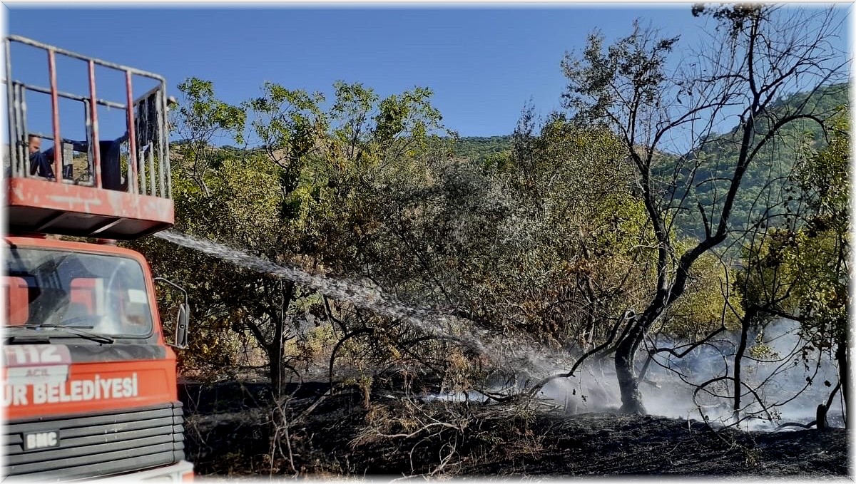 Tunceli'de örtü yangını söndürüldü