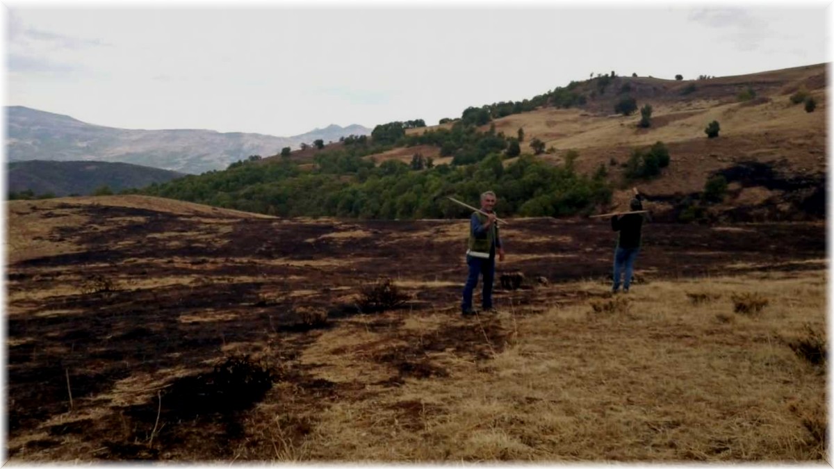 Tunceli'de örtü yangını söndürüldü