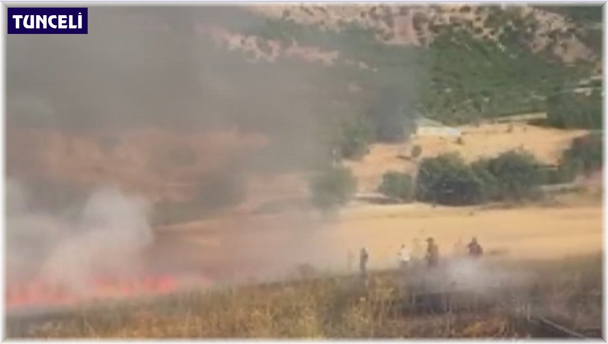 Tunceli'de otluk alanda çıkan yangın, ormanlık alana sıçramadan söndürüldü