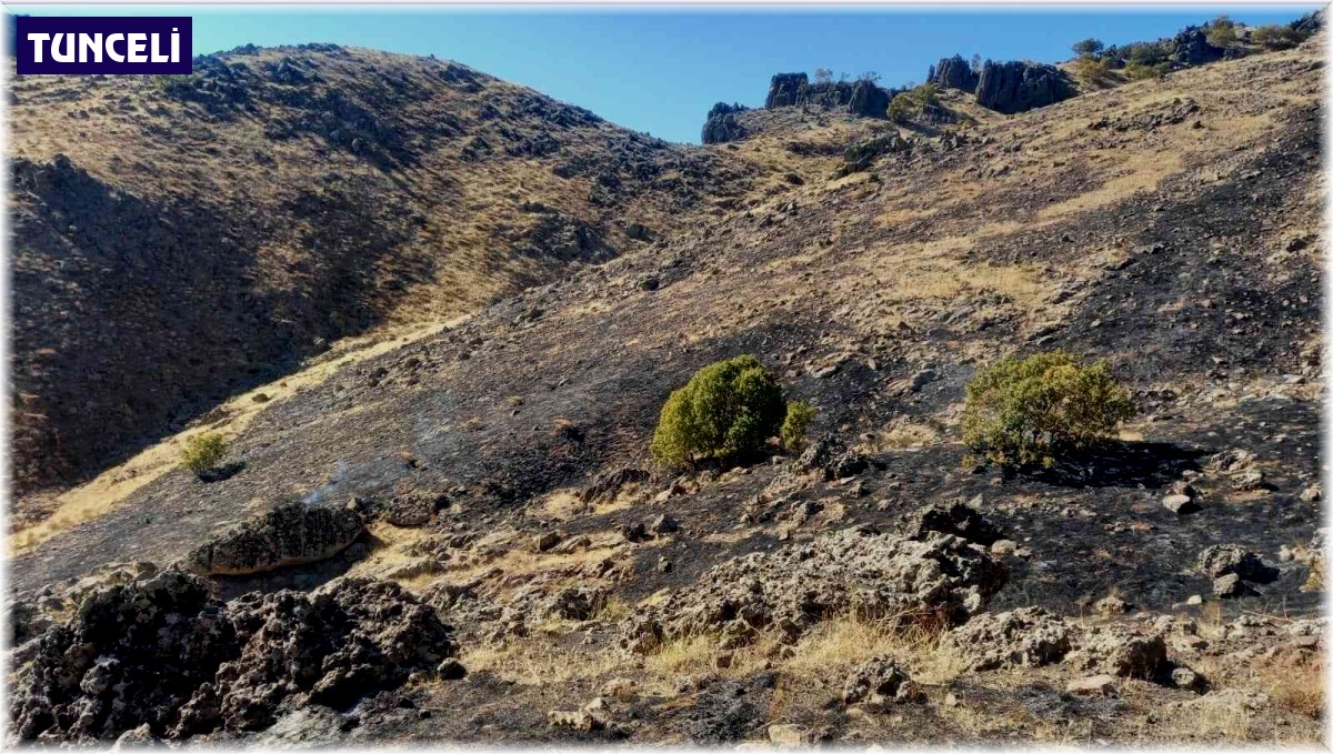Tunceli'de otluk alandaki yangın kısa sürede söndürüldü