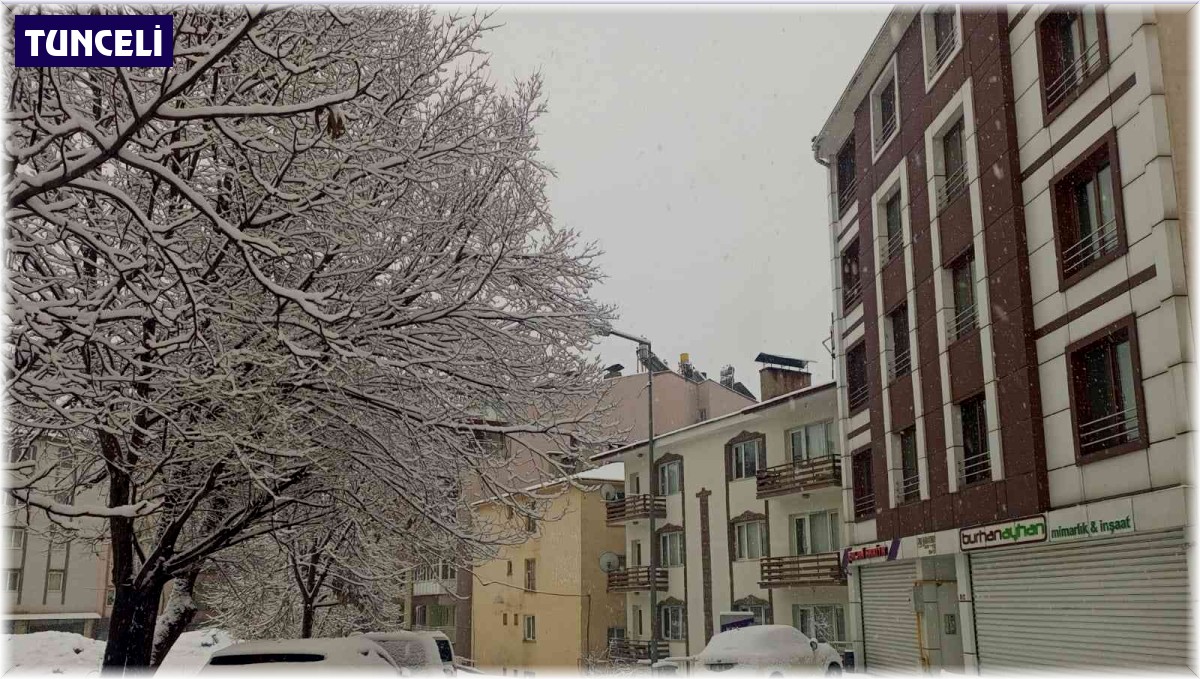 Tunceli'de özlenen kar yağışı başladı