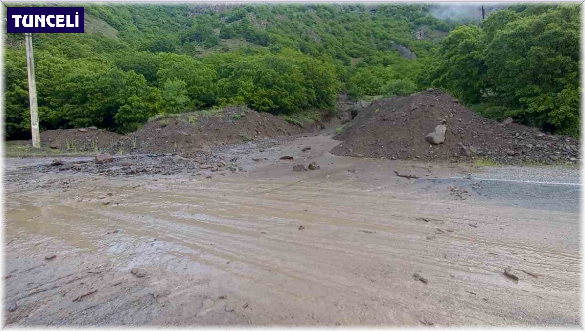 Tunceli'de sağanak yağış hayatı olumsuz etkiledi