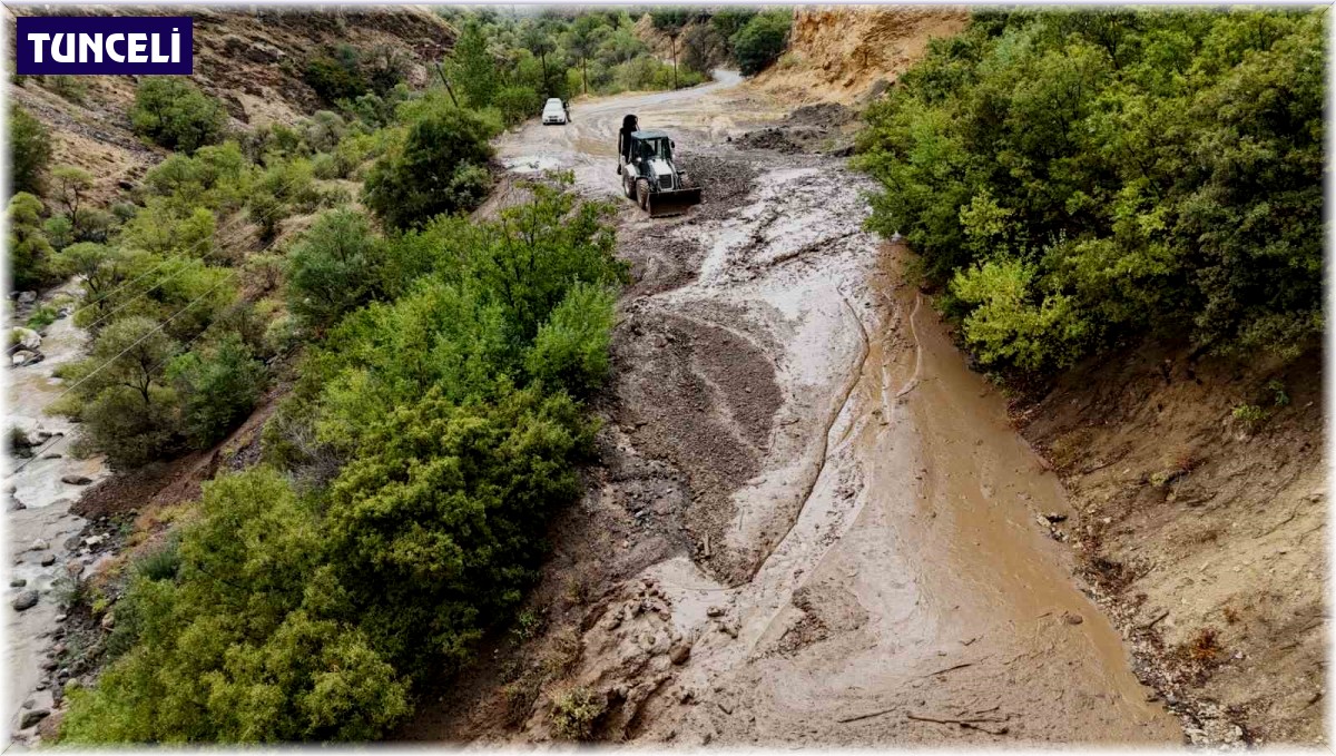 Tunceli'de sağanak yağış heyelana neden oldu