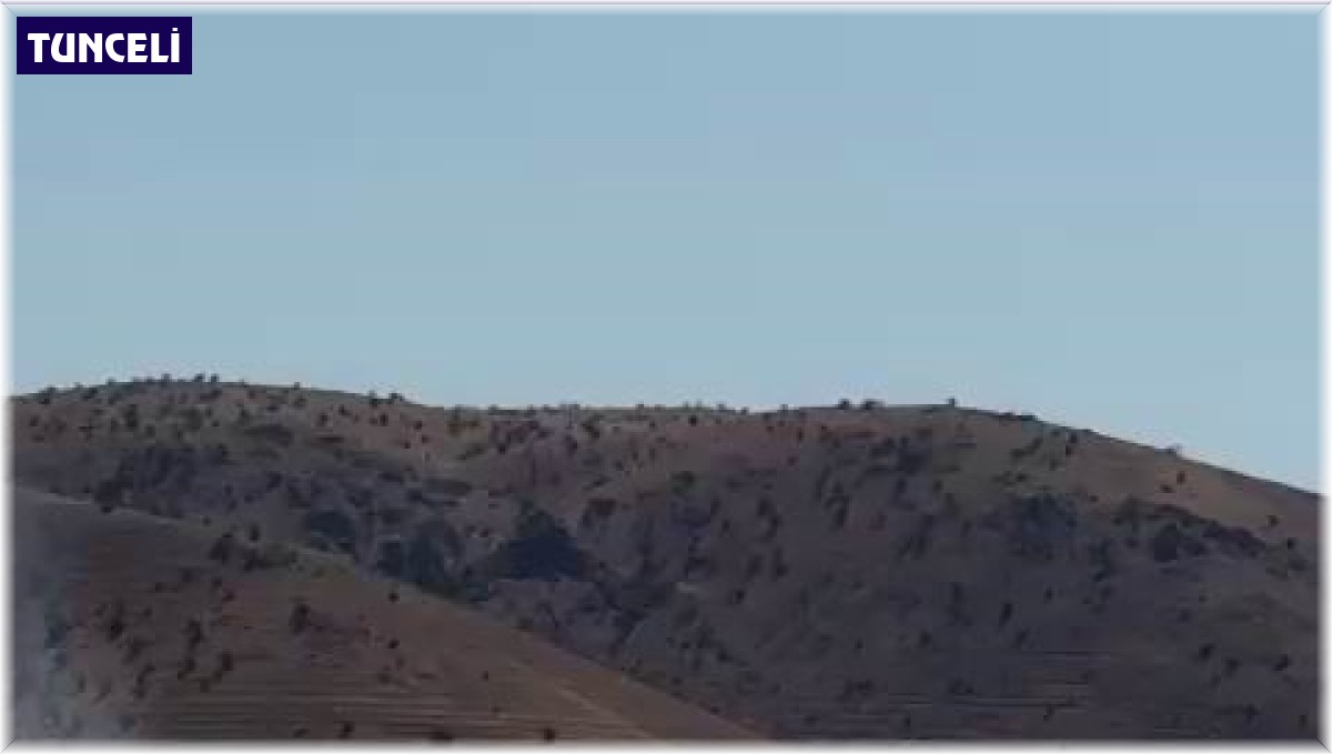 Tunceli'de seyir halindeki kamyon alev aldı