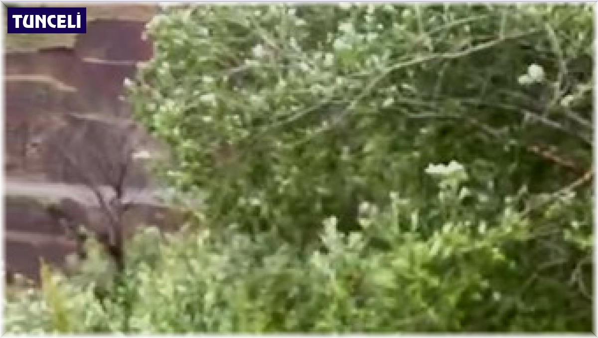 Tunceli'de şiddetli rüzgar hayatı felç etti