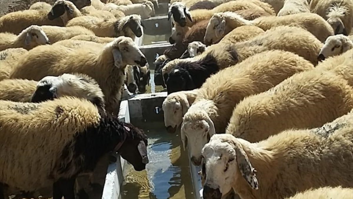 Tunceli'de sulama projeleri hayata geçiriliyor