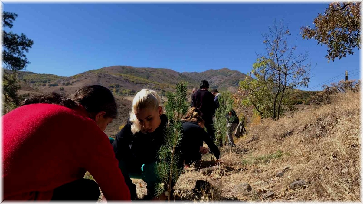 Tunceli'de Tenzile Erdoğan anısına fidan dikildi