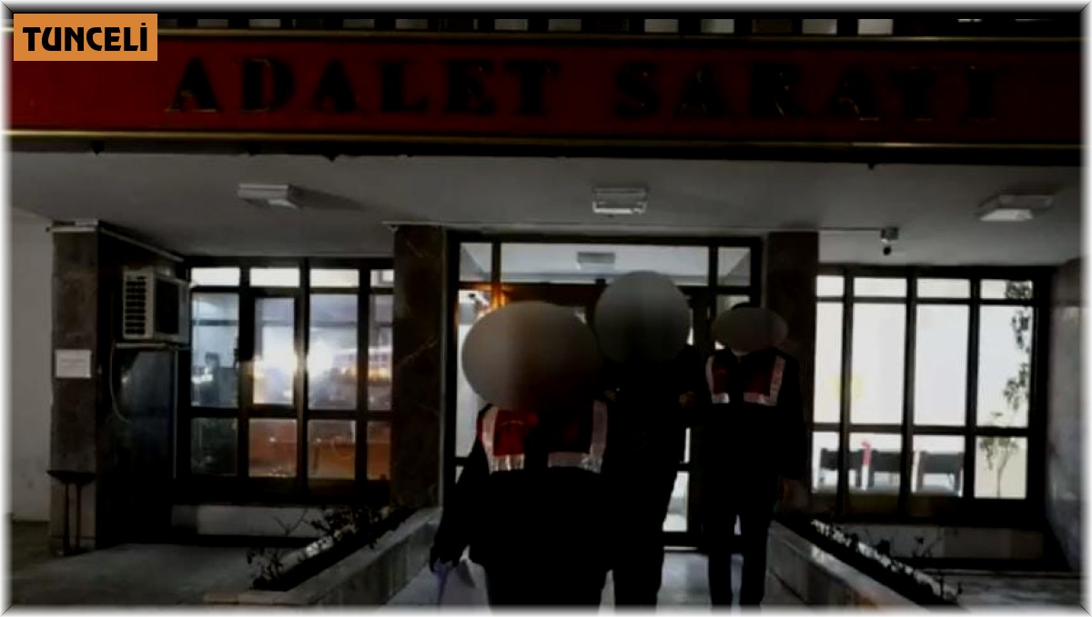 Tunceli'de terör örgütü üyesi yakalandı