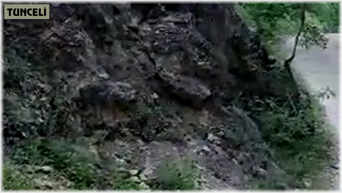 Tunceli'de tilki ve kedinin ekmek kavgası