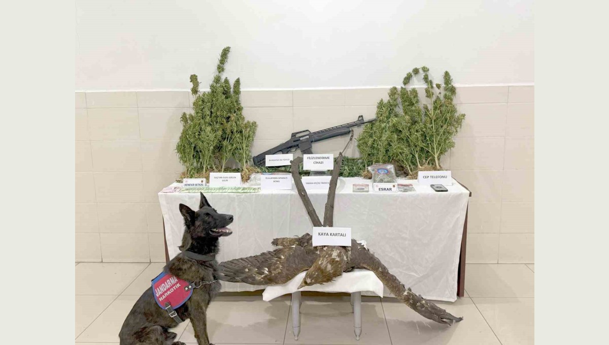 Tunceli'de uyuşturucu operasyonu