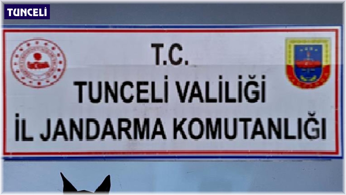 Tunceli'de uyuşturucu operasyonu