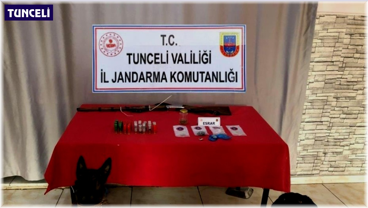 Tunceli'de uyuşturucu ve av tüfeği ele geçirildi: 2 gözaltı