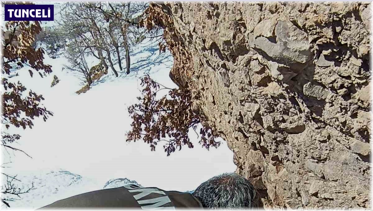 Tunceli'de yaban hayatı için yemleme çalışması