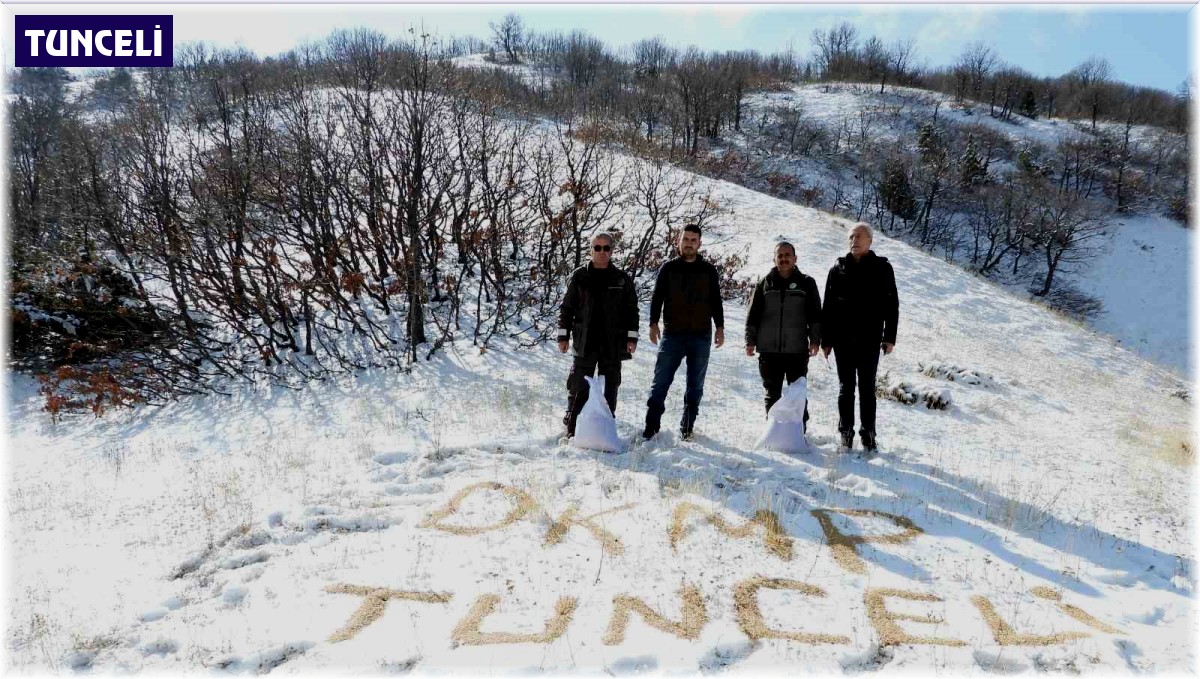 Tunceli'de yaban hayvanları için doğaya yem bırakıldı