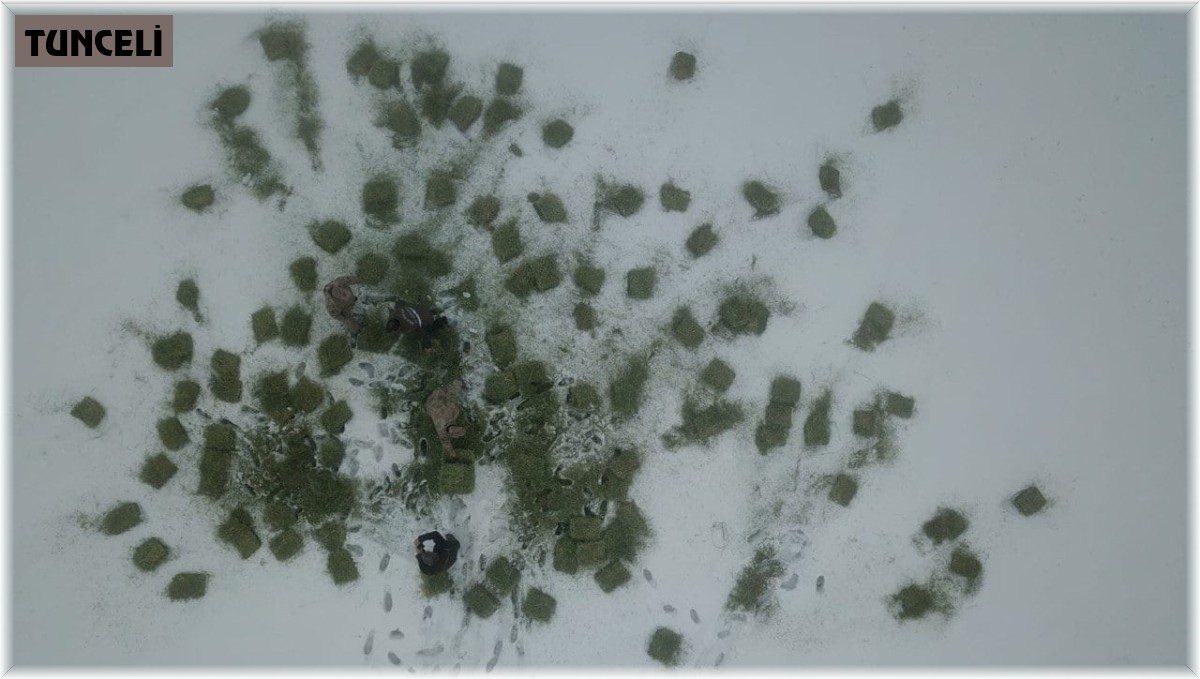 Tunceli'de yaban hayvanları için doğaya yem bırakıldı