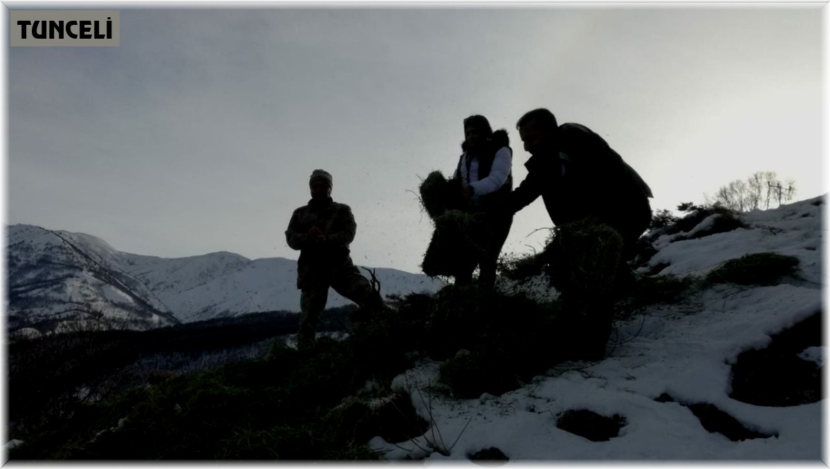 Tunceli'de yaban hayvanları için doğaya yem bırakıldı