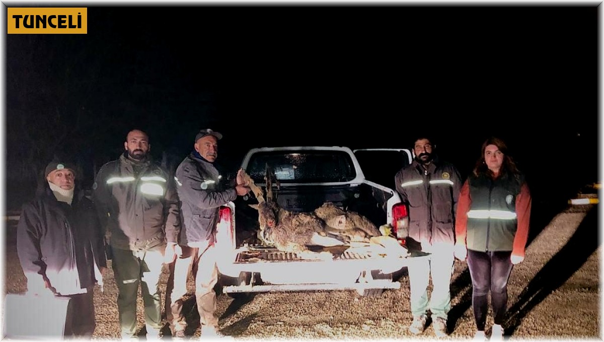 Tunceli'de yaban keçisi avlayan 2 kişiye 126 bin lira ceza