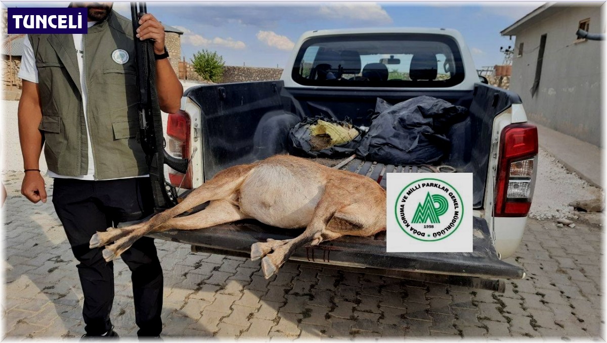 Tunceli'de yaban keçisi avlayan şahsa 253 bin lira ceza