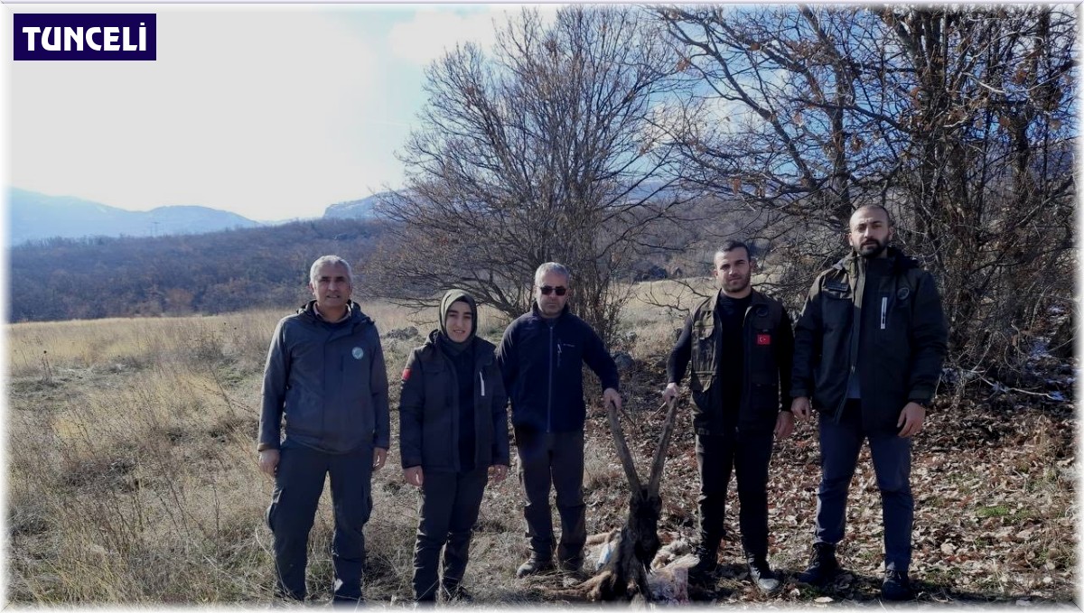 Tunceli'de yaban keçisi öldüren 4 kişiye 264 bin 576 lira ceza