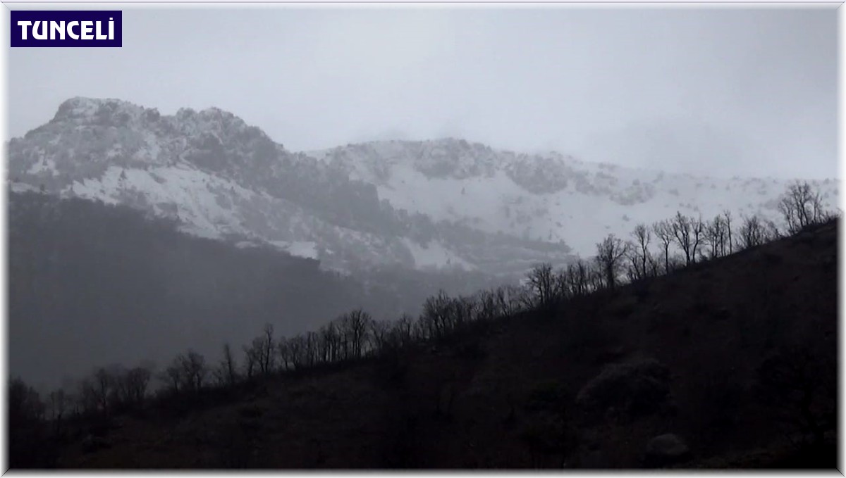 Tunceli'de yağışlar sürüyor