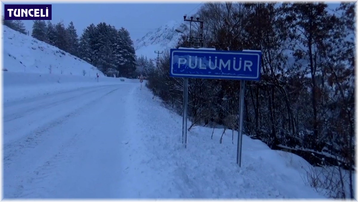 Tunceli'de yoğun kar yağışı hayatı olumsuz etkiliyor