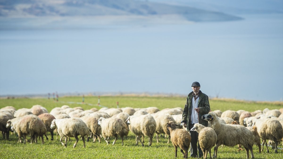 Tunceli'deki göçerlerin kışlaklarda zorlu yaşamı