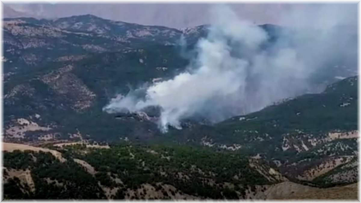 Tunceli'deki orman yangını devam ediyor