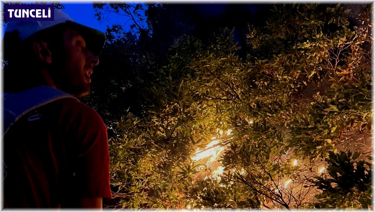 Tunceli'deki örtü yangını kontrol altına alındı